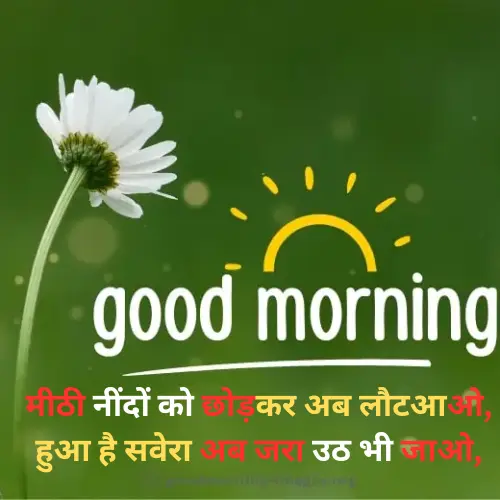 Good Morning Shayari Image